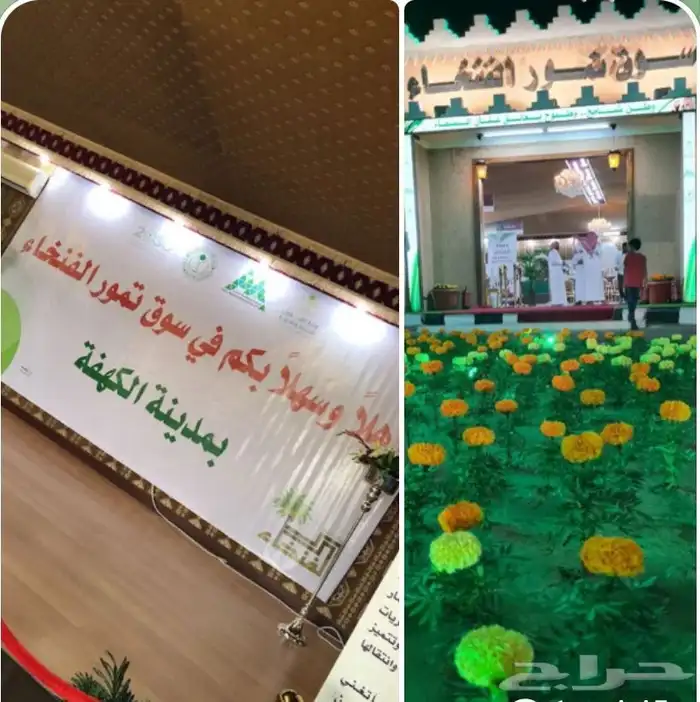 4 اراضي سكنية متجاورات في الكهفة _ حي الشرفة_ حائل 0
