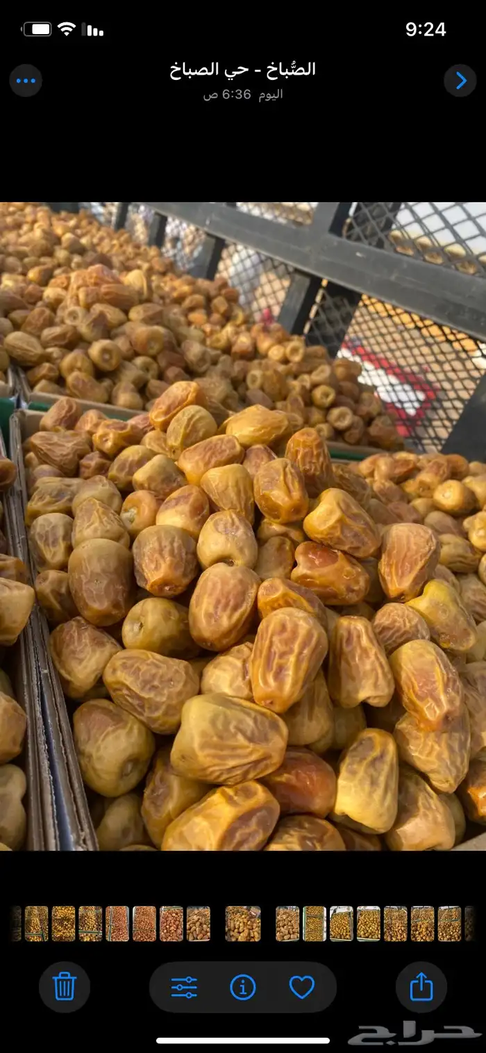 موجود تمور فاخره خراف سنه 1447 هجري 7