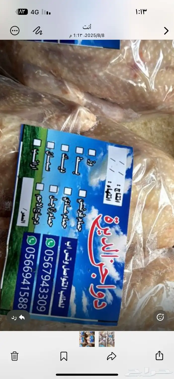فراخة حمام بلدي وزاجل وفرنسي 15
