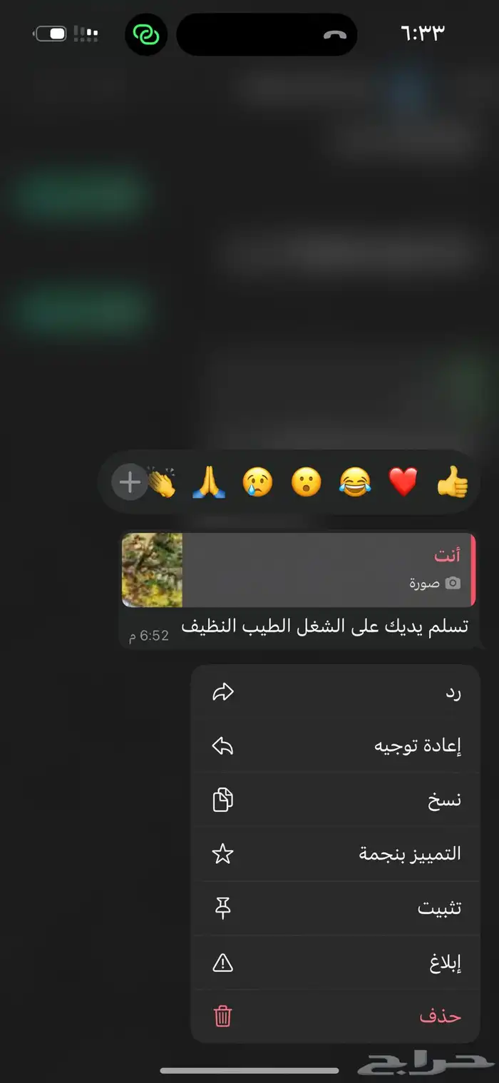 منسف اردني 4