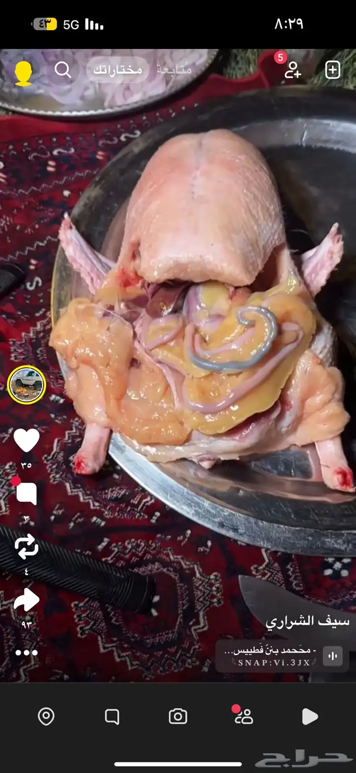 مطلوب وزة او بطة مثل الس في الصورة فل شحم 0