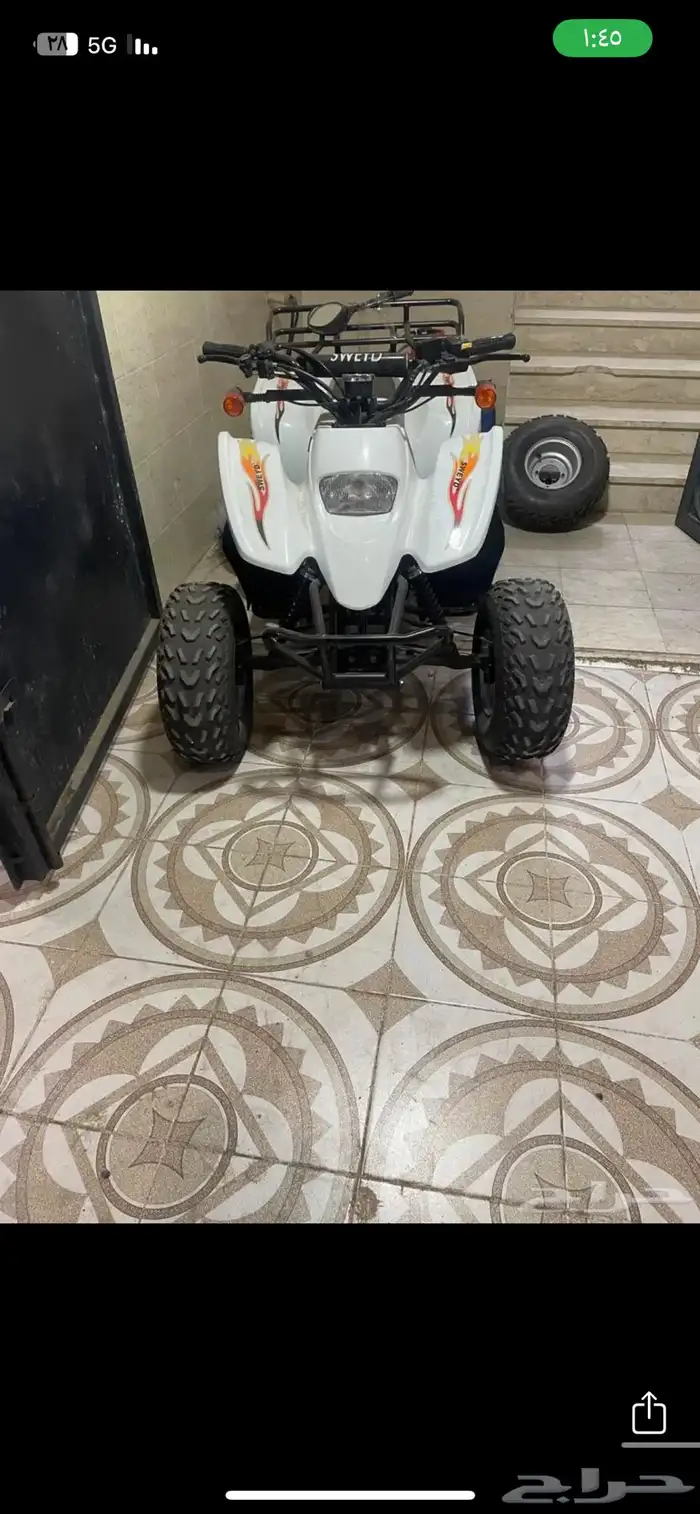 دباب 7