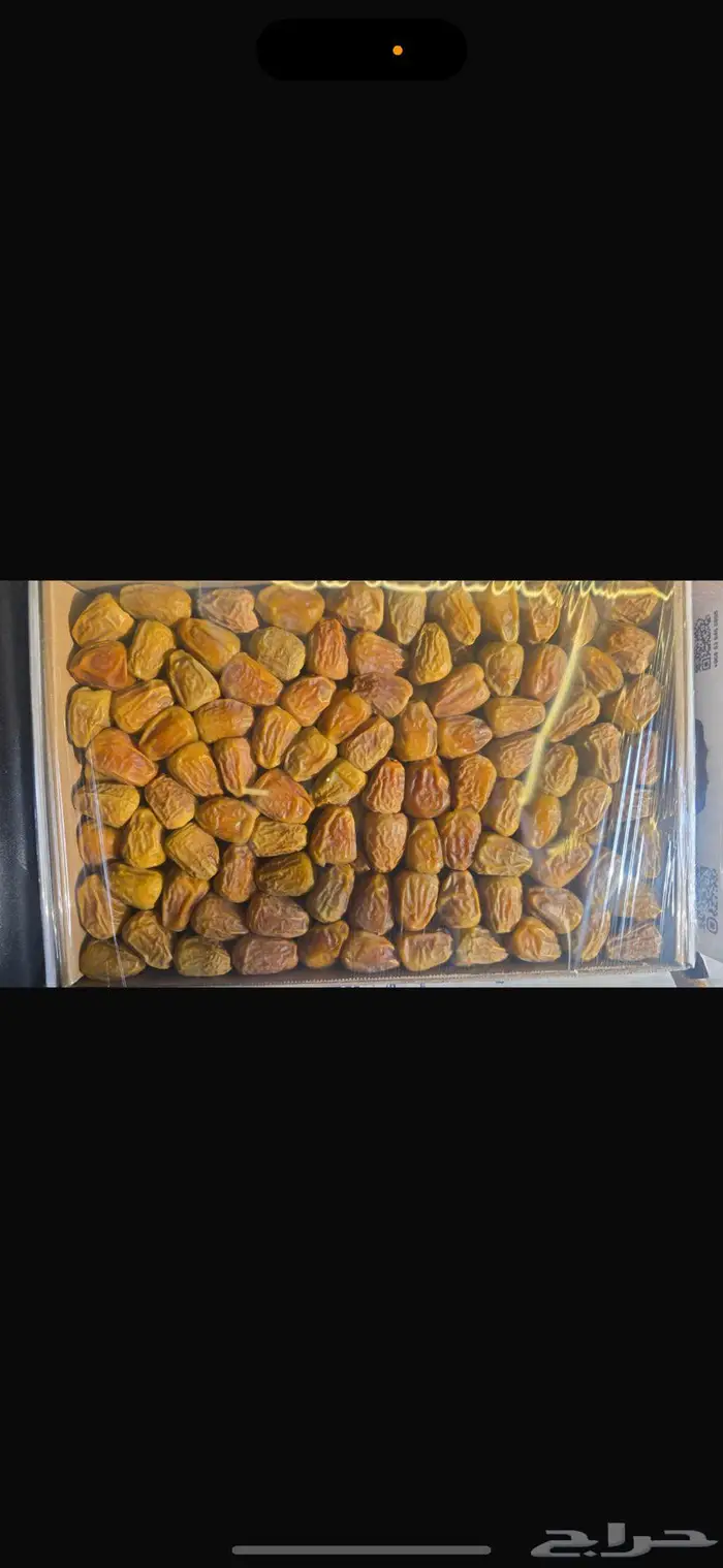 سكري القصيم طيب جدا 0