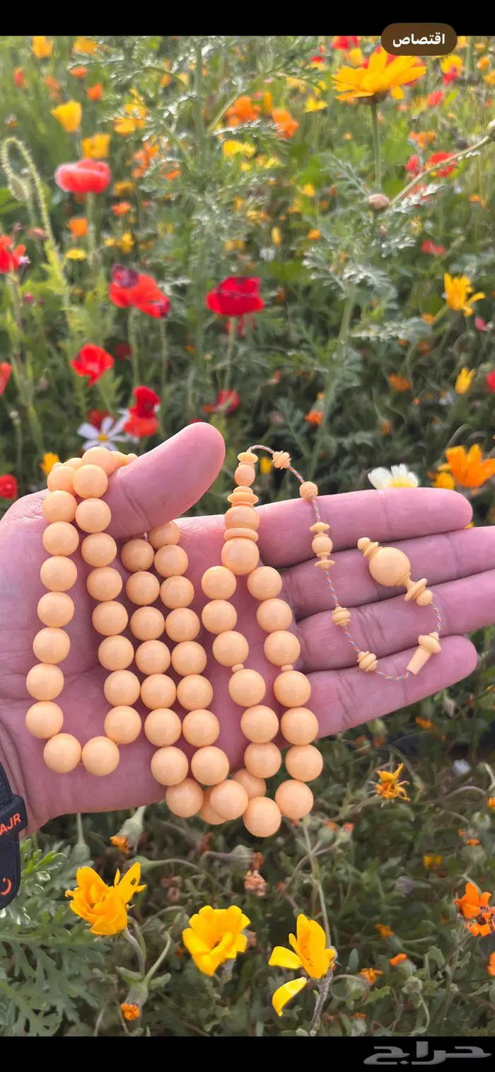 مسباح دومنة صب  قديم مشمشي 2
