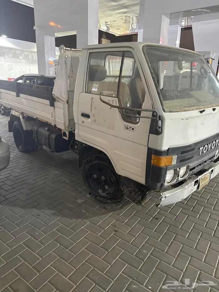 دنيا 91 6