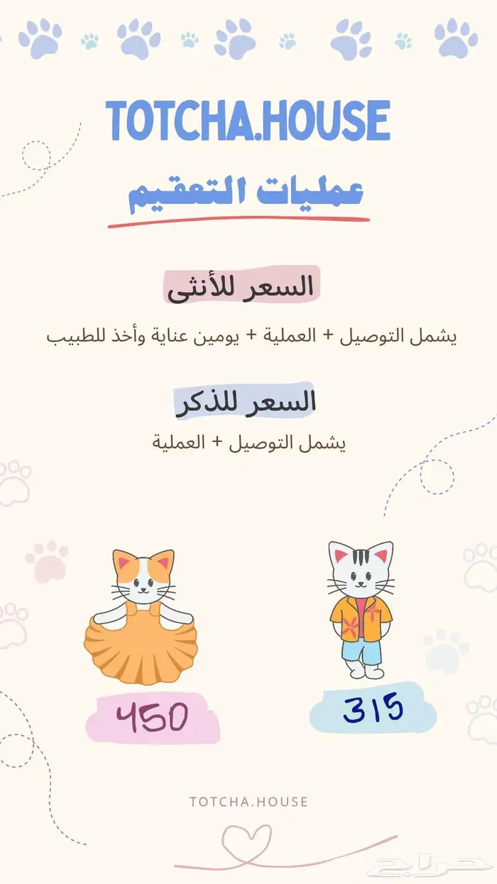 عمليات تعقيم وإخصاء قطط 0