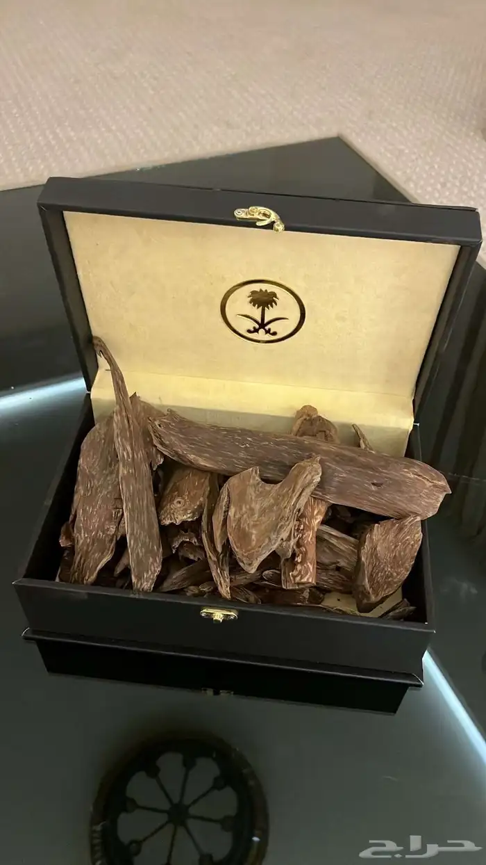 عوده 3