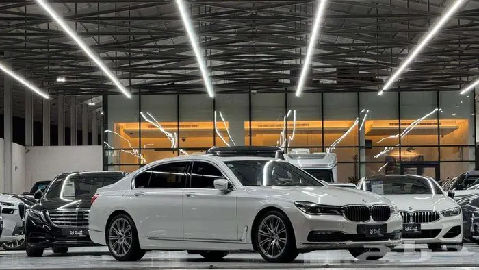 2019بي ام دبليو 730 ال اي BMW 730LI 1