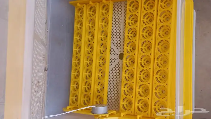 فقاسه بيض 1