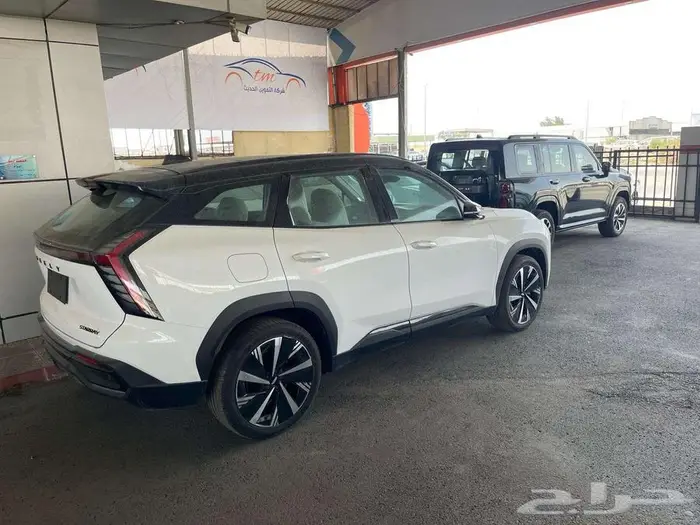 جيلى استاراى فل كامل 2024 كاش او تقسيط 3