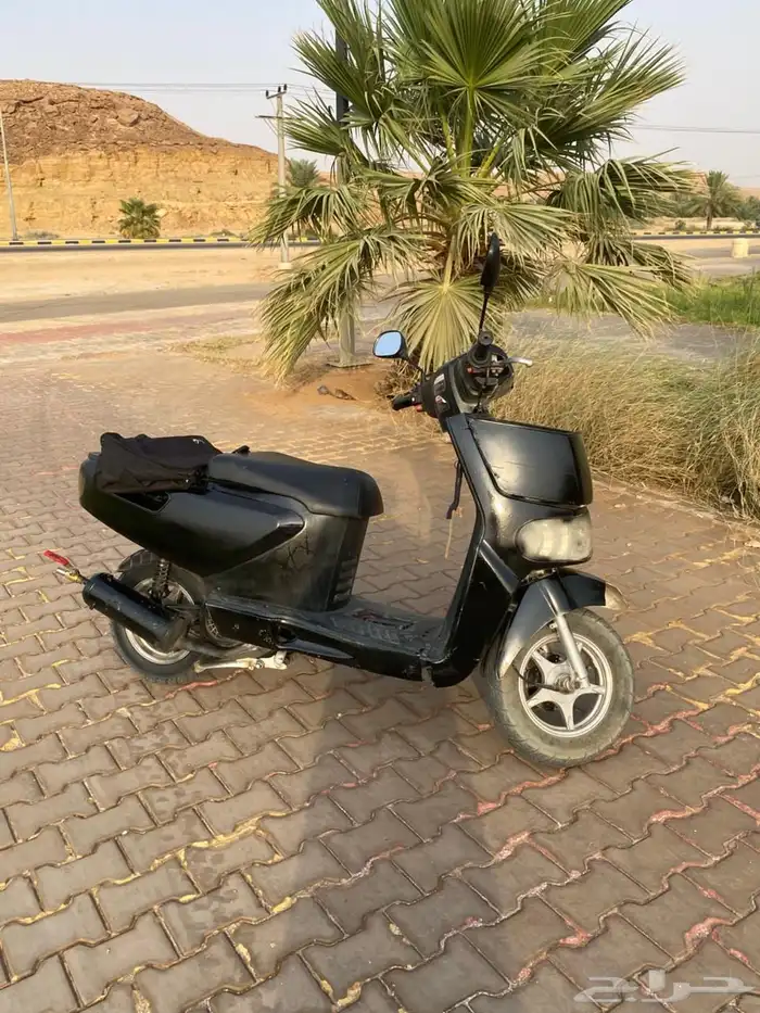 دباب بطه حجم كبير 125 سيسي الي يبيه ب 1100 ونراعي الصامل 8
