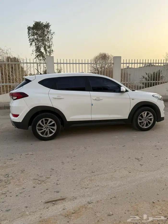 توسان على الشرط لا يفوتك 6