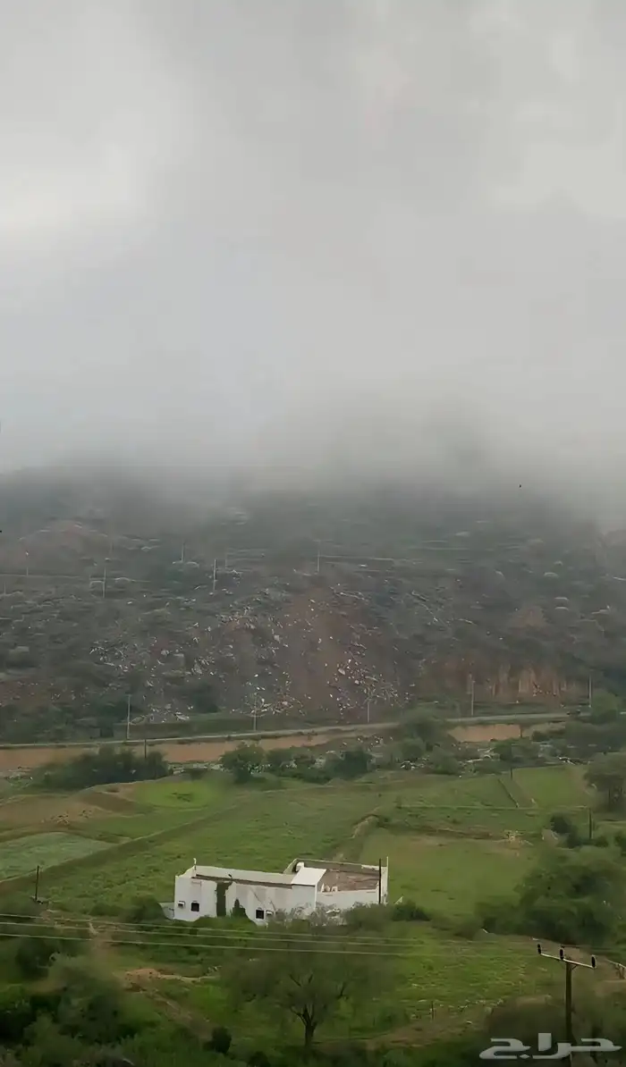 للجار الباحه بلجرشي 4
