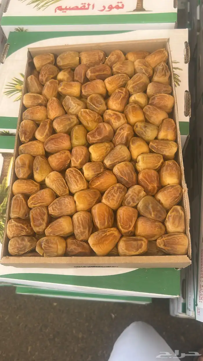 تمر مفتل سكري 2