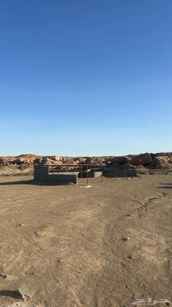 مزرعة شمال بريدة بكبد 80 كيلو صكين والمطلوب 250 الف 0