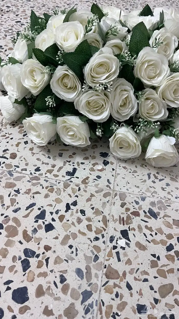 ورد لتشريع السياره 4