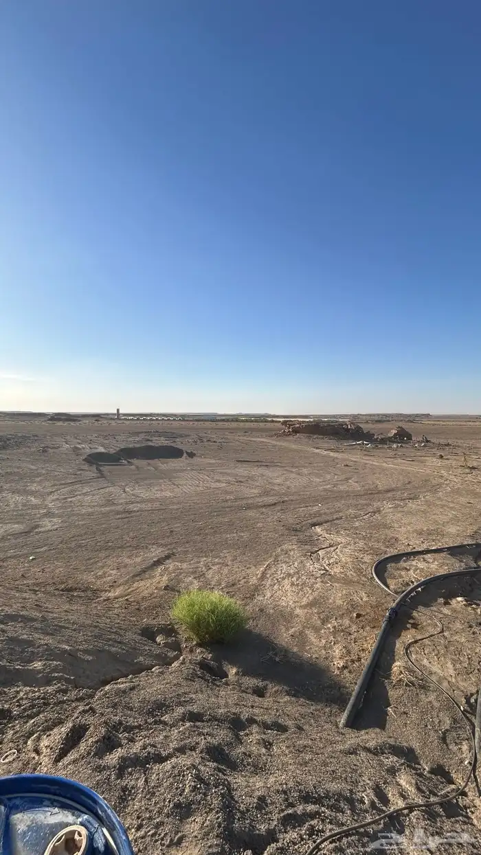 مزرعة شمال بريدة بكبد 80 كيلو صكين والمطلوب 250 الف 5