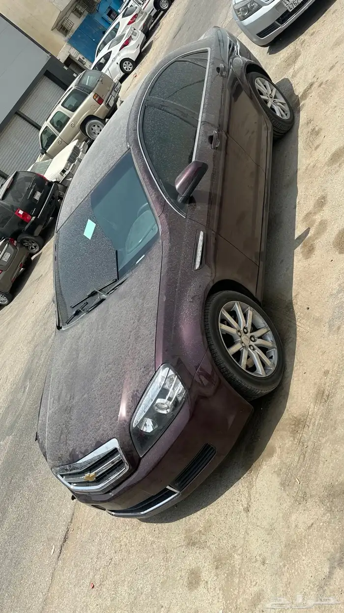 كابرس 2015 3