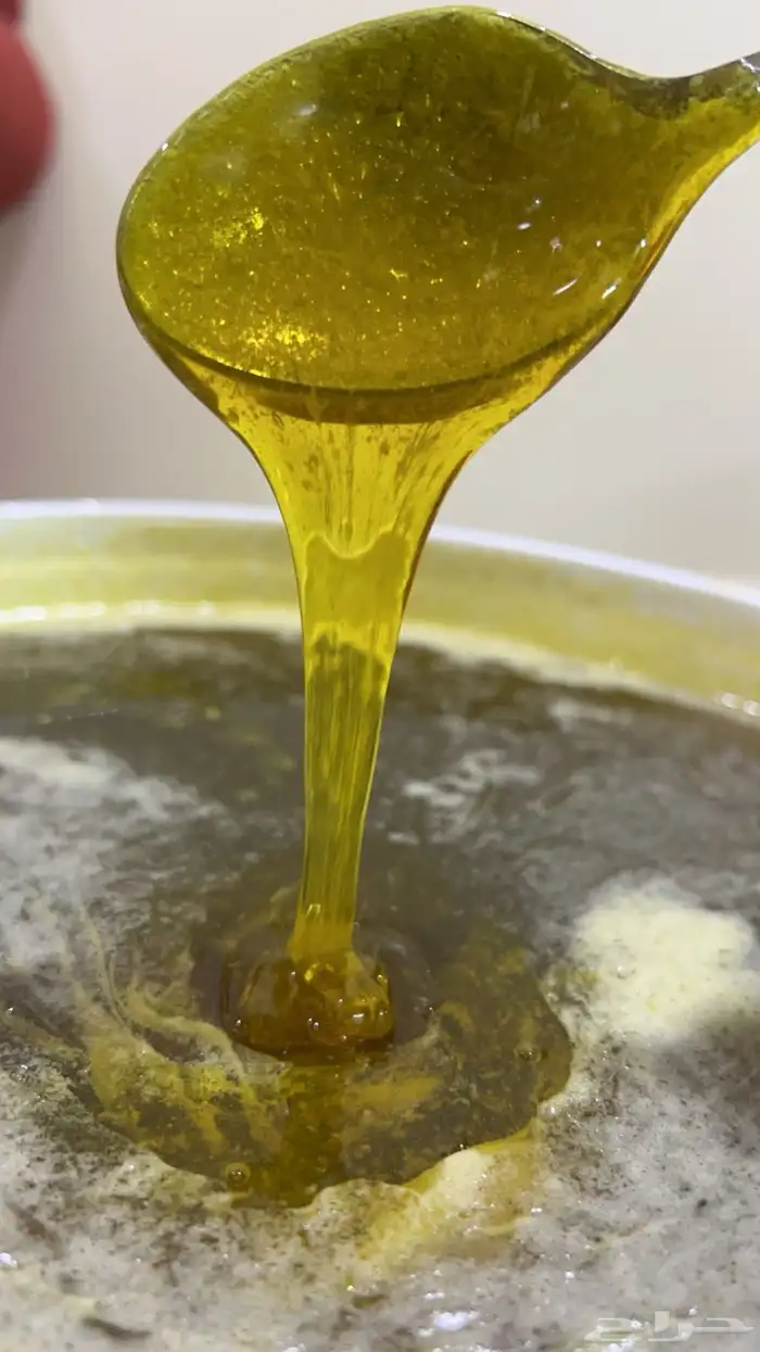 عسل بري ( طلح سدر عشر اثل بسباس ) انتاج مناحلنا 6
