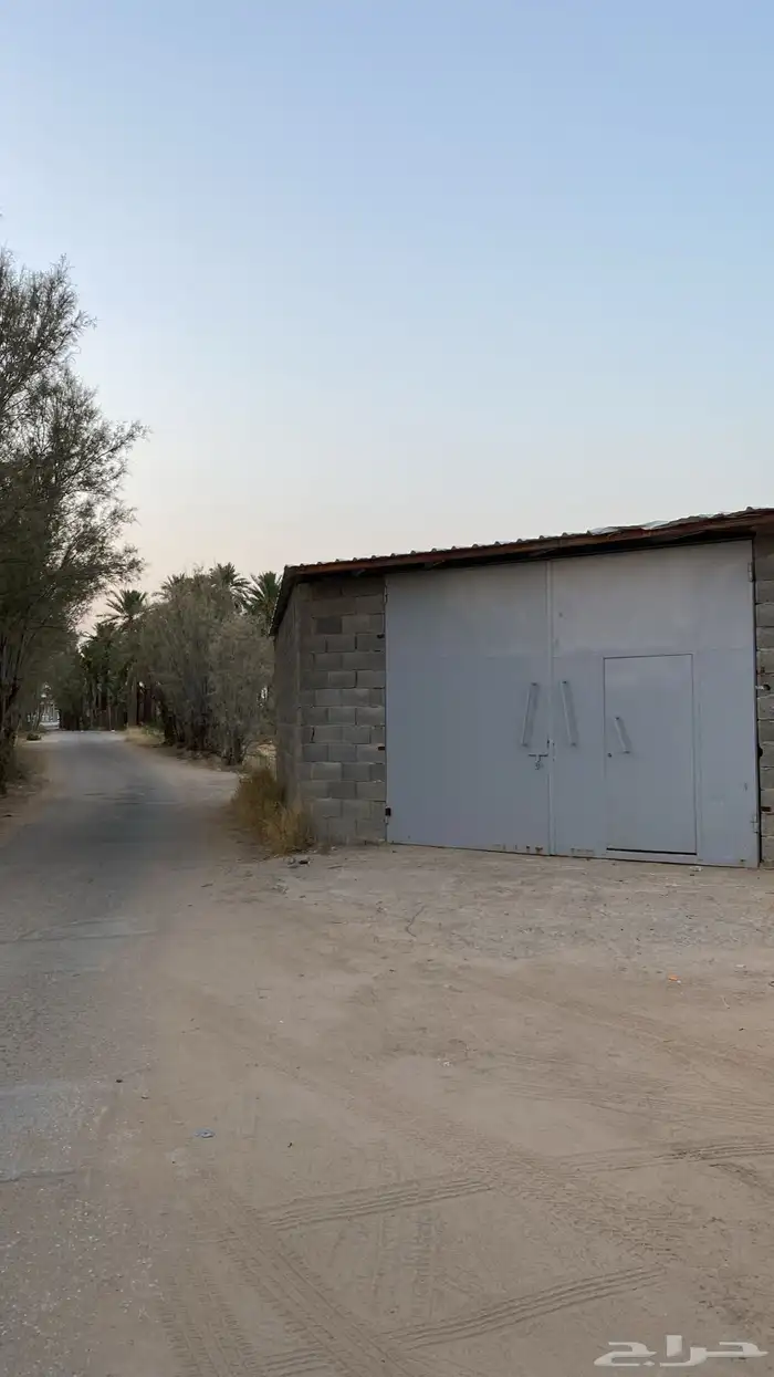 للتمور بريدة 0