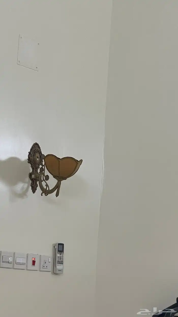 ثرية ولمبتها 0