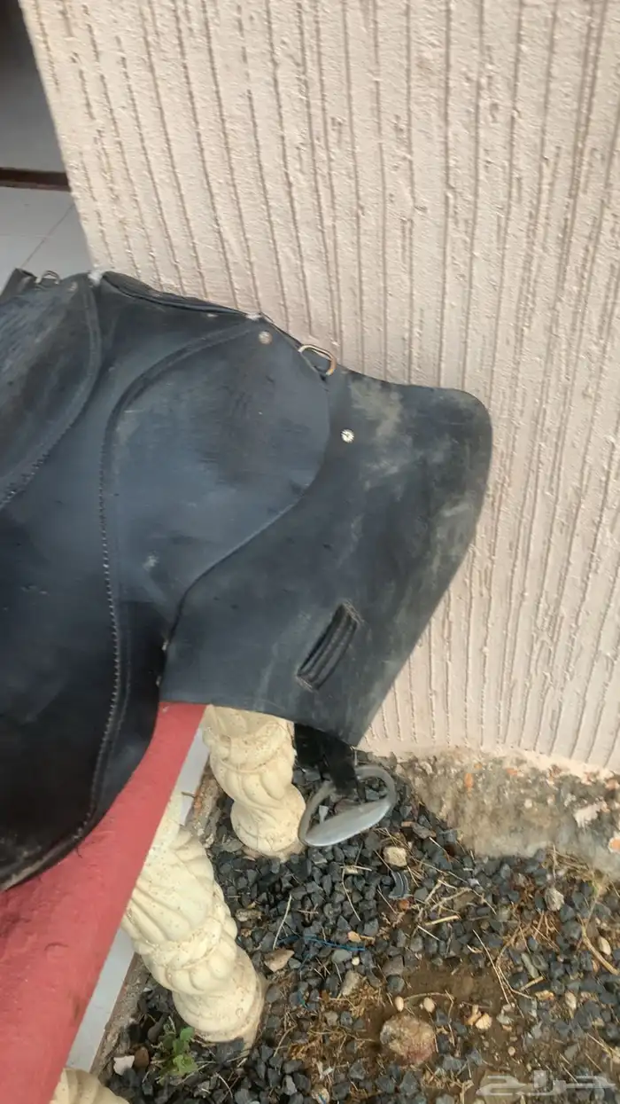 سرج نضيف 1
