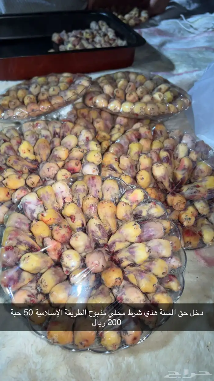 طيرو تين حق الموسم ذا 0