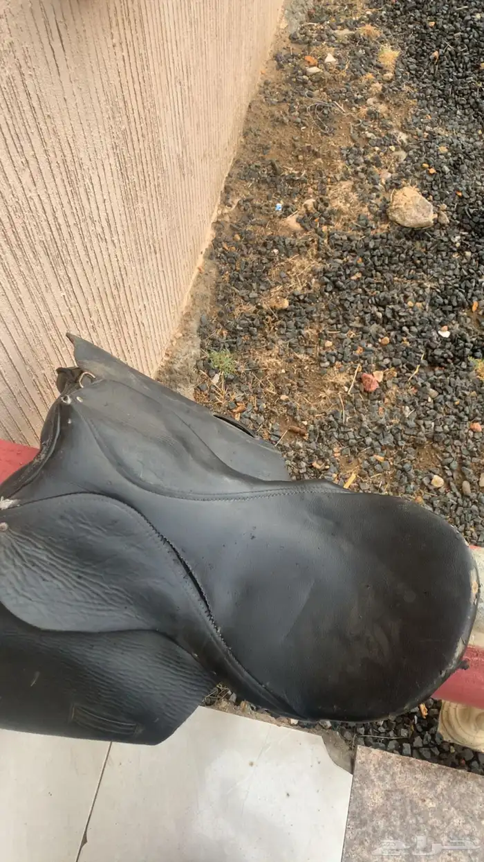 سرج نضيف 2