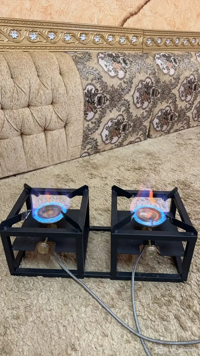 قز عينين للبيع 3
