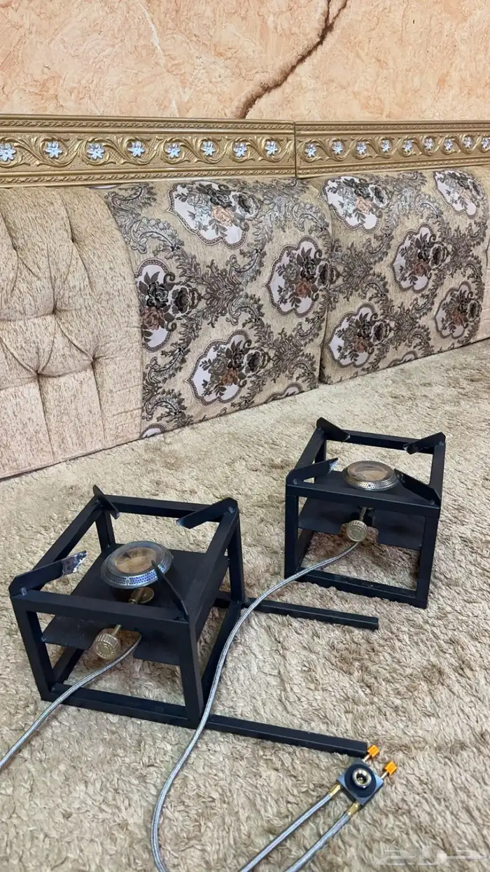 قز عينين للبيع 2