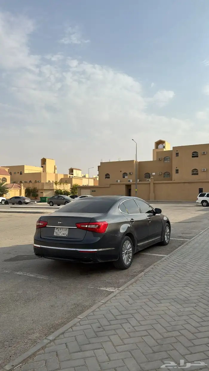 كادينزا استاندر 2015 1