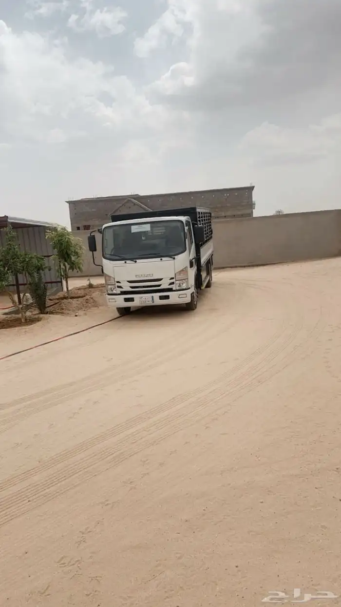 دينا ايسيزو 1