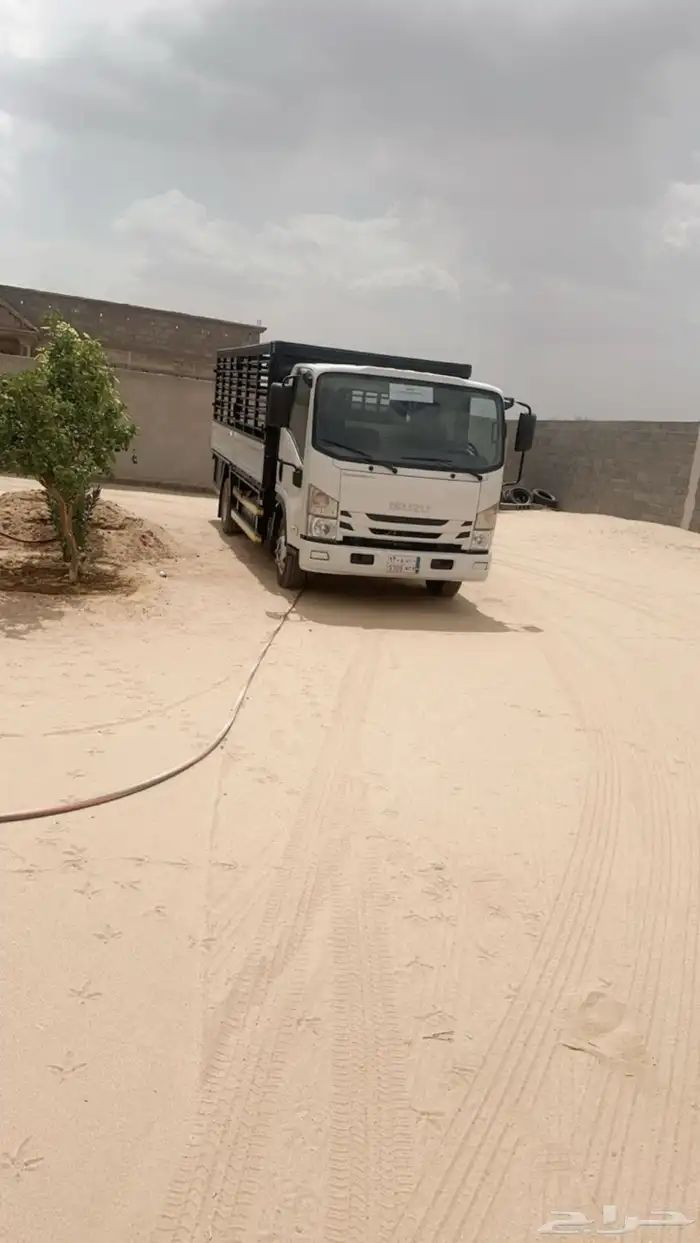 دينا ايسيزو 2