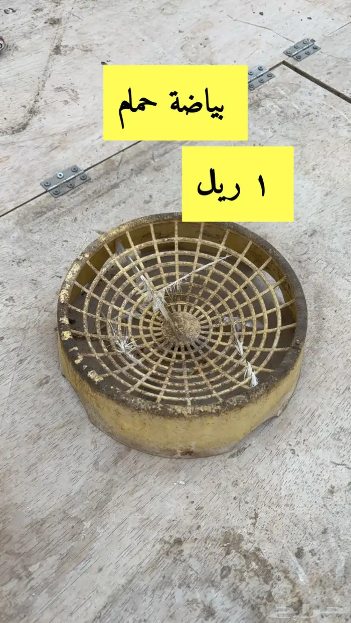حضانة صيصان 0