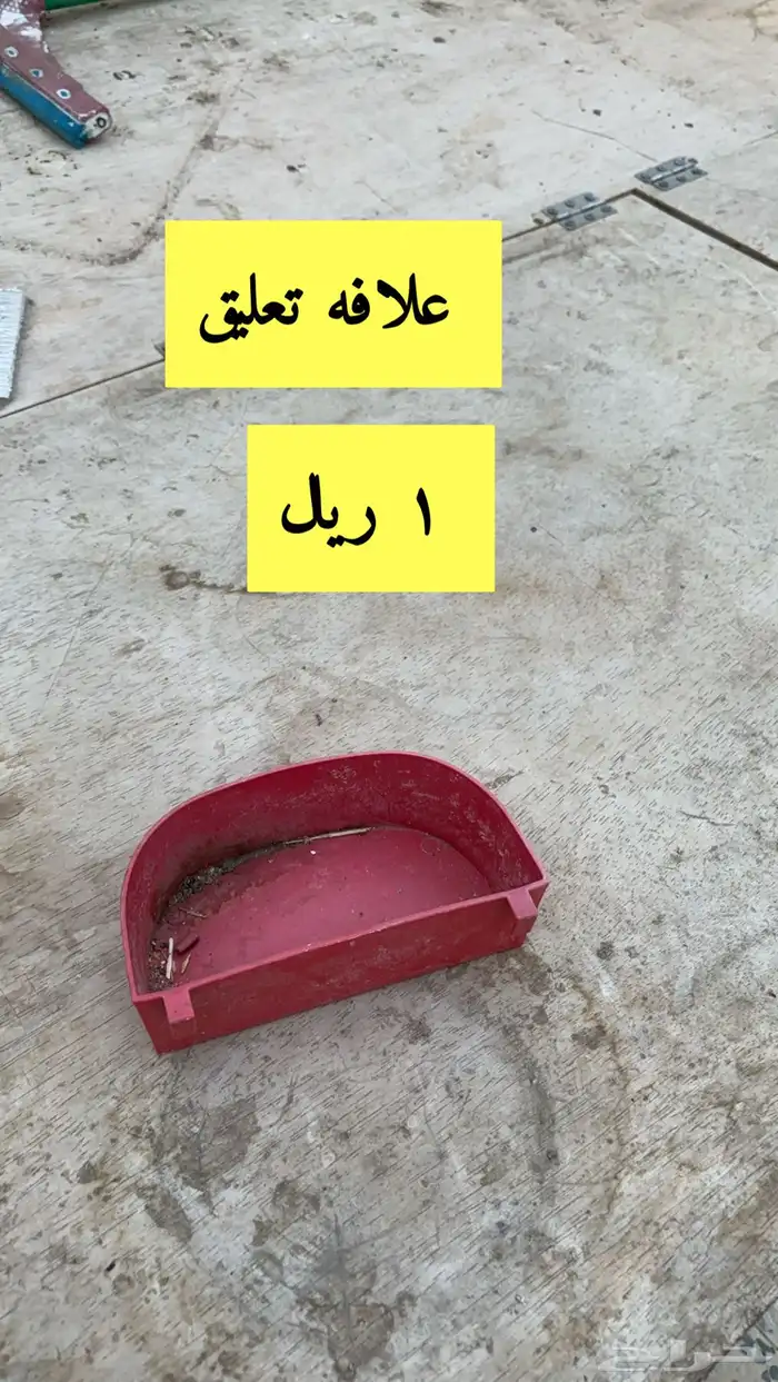 حضانة صيصان 2