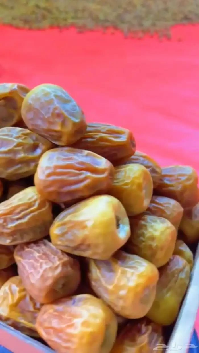 يوجد نخل خلاص وسكري وصقعي الموقع الزلفي والغاط 0