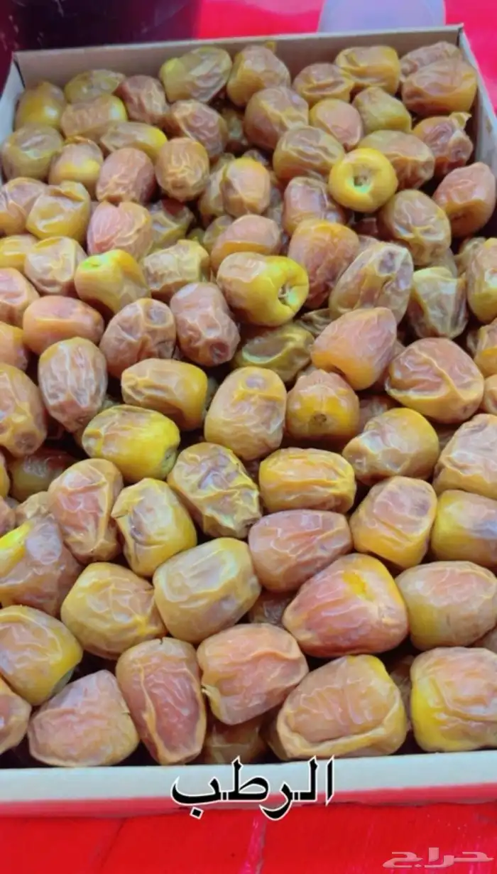 يوجد نخل خلاص وسكري وصقعي الموقع الزلفي والغاط 1