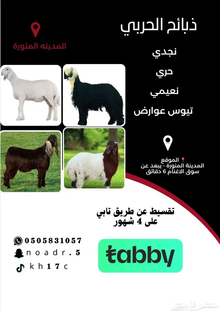 ذبايح تقسيط تابي 0