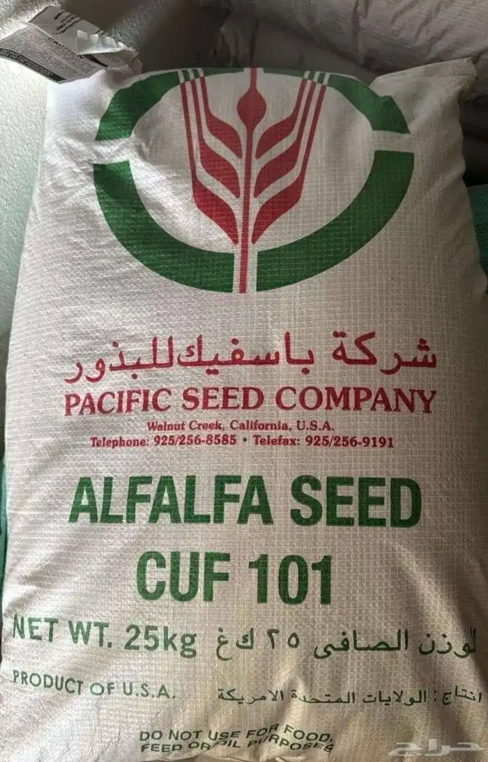 للبيع بذور باسفيك 0