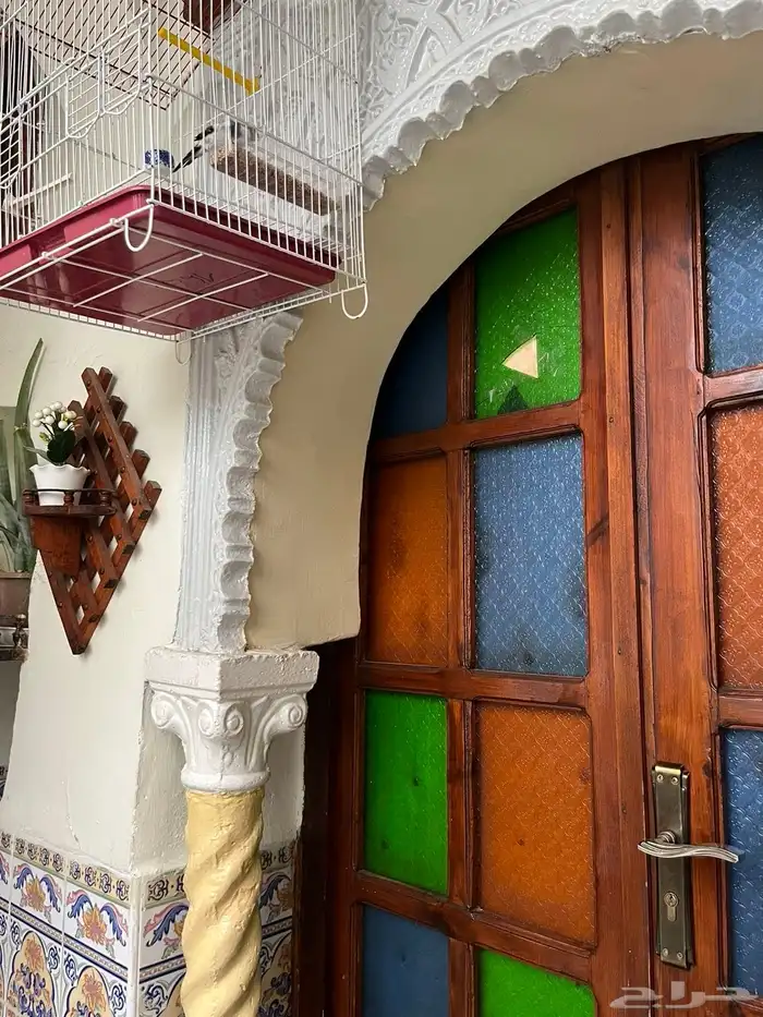 مكتب خدمات السياحة والسفر في الجزائر 6