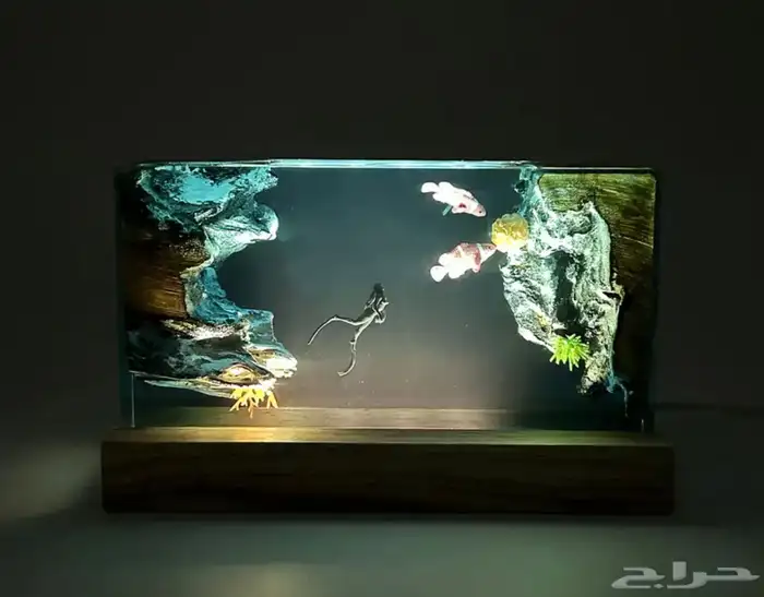 (عرض محدود مع كل طلب هدية )اضاءات وفواحات بريموت كونترول 26