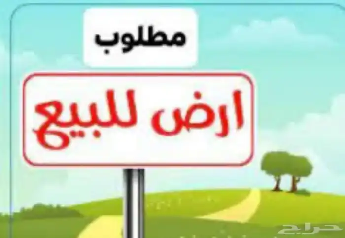 مطلوب قطعه ارض في مخطط الانوار تكون ع شارع 30 للبيع 0