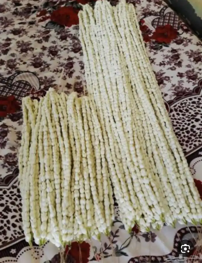 كباشه فل مبروم على الطلب 2