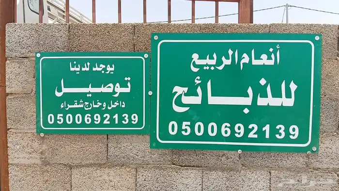 ذبايح شقراء تابي 7
