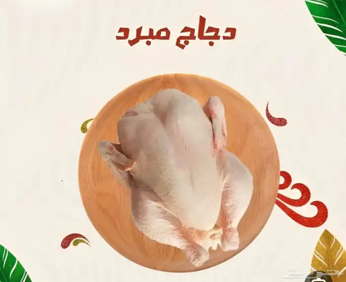 دجاج مبرد يومي توصيل مجاني 0