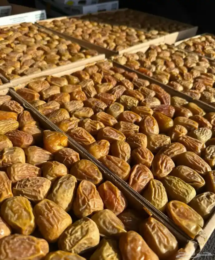 التمر العضوي الفاخر يصل إليك طازج ومبرد 0