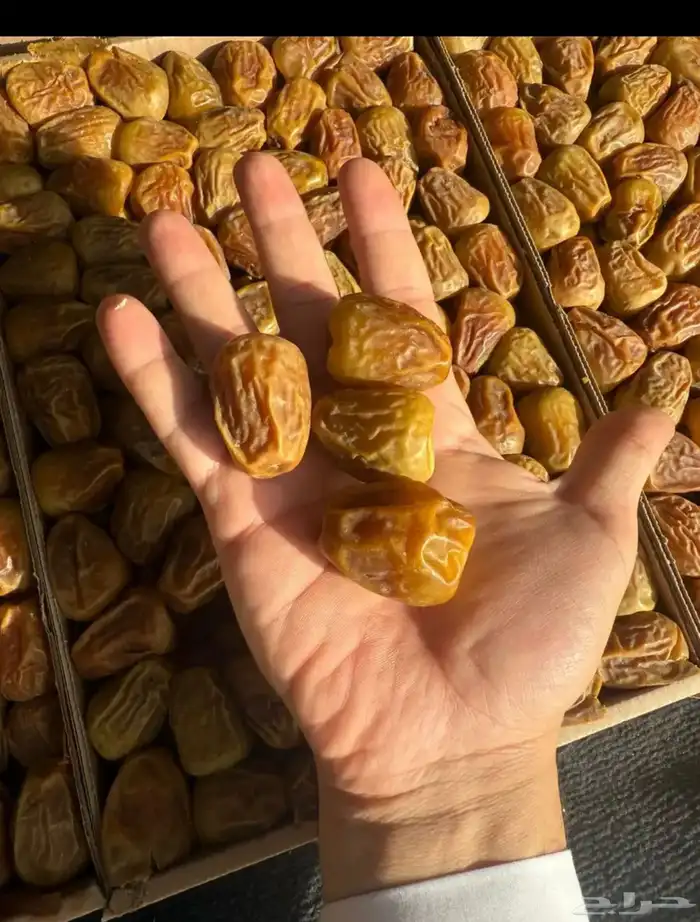 التمر العضوي الفاخر يصل إليك طازج ومبرد 1