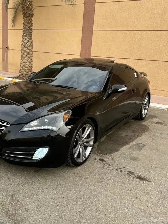 جنسس كوبية 2010 20