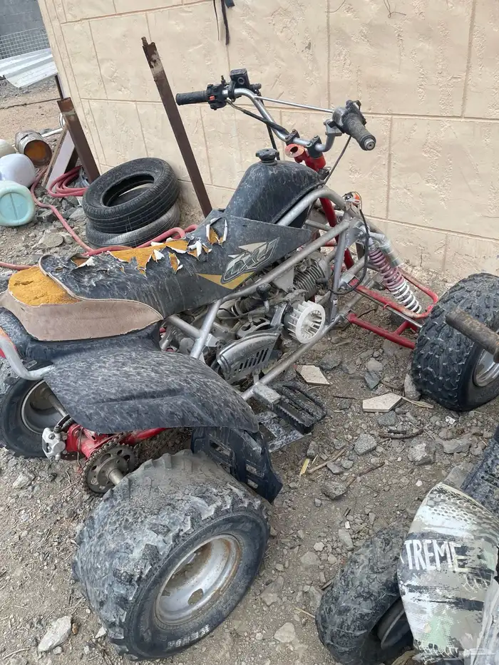 دباب للبيع 2