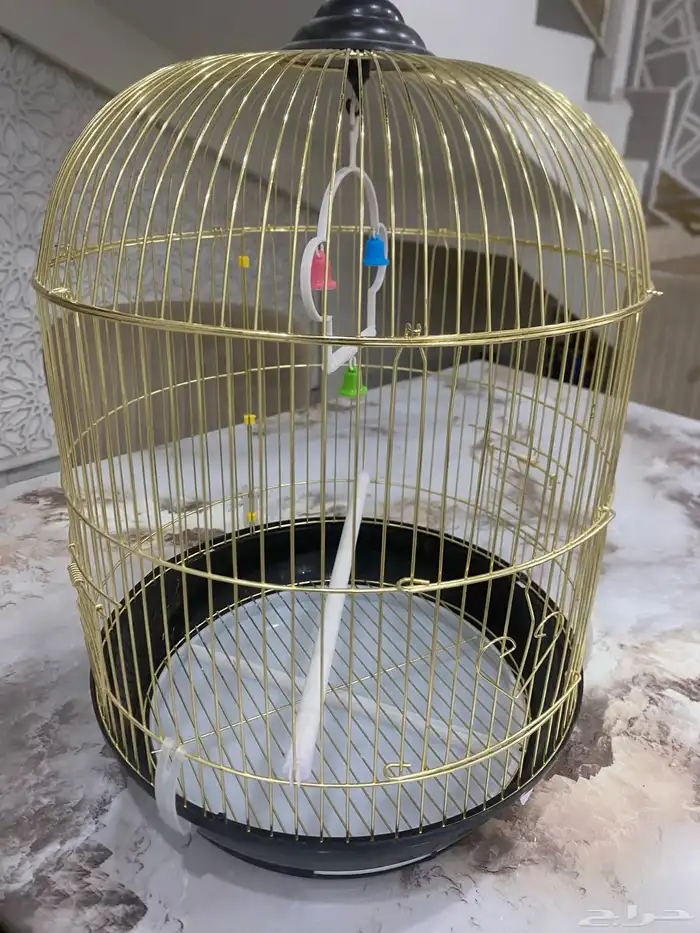 قفص حجم عادي 2